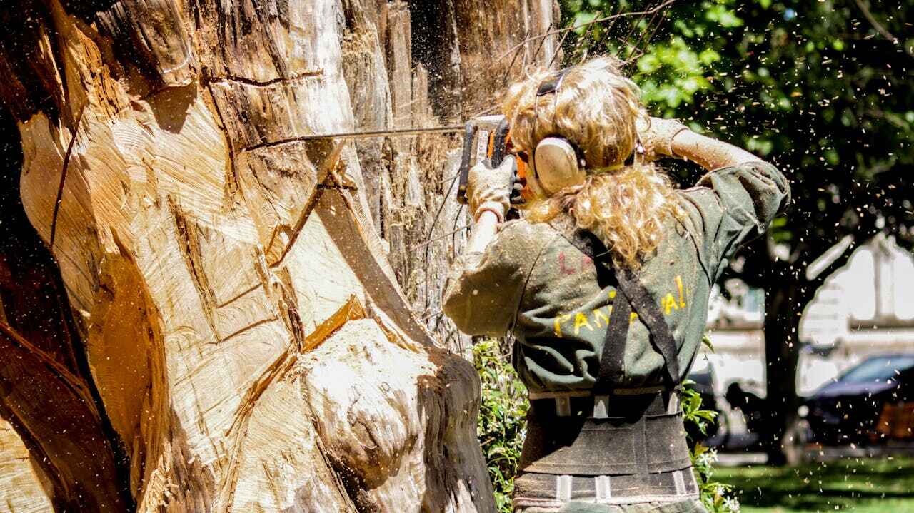 Best Tree Trimming Near Me  in Longboat Key, FL